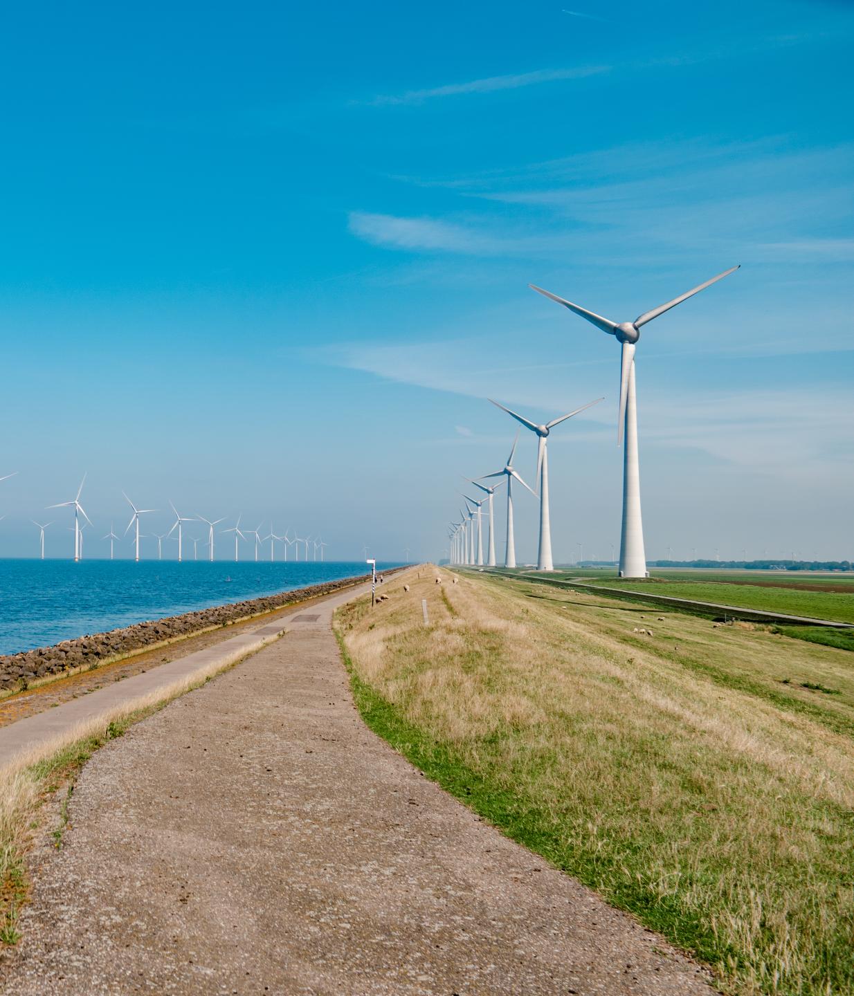 duurzaamheidskring-tholen